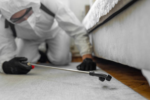 Professional Termite Control technician working in Cedar Hill, MO