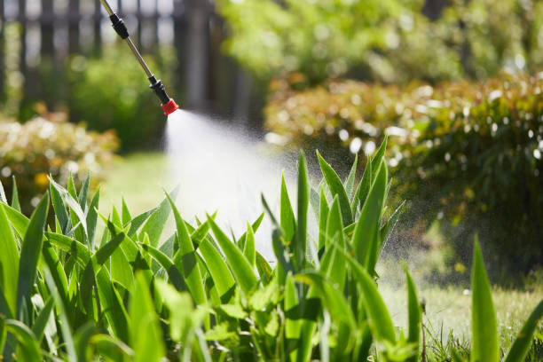 24/7 Emergency Termite Control experts in Cedar Hill, MO